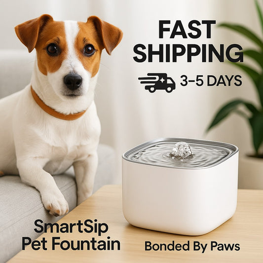 SmartSip Pet Fountain 3L- Fast Shipping