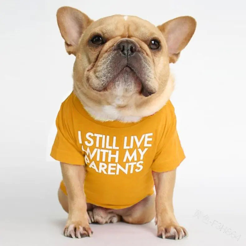 Tail Waggin' Tee-For Dogs & Cats
